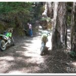 Bike Ride In the Forest and Our Little Pond’s Water Level Is Dropping drink9_thumb.jpg