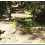Forest Bike Ride and I Get Some Grass Fed Beef To Help Solve My Itchy Problem pond1