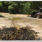 Forest Work, Checking Out an Old Road and Old Cars pool1