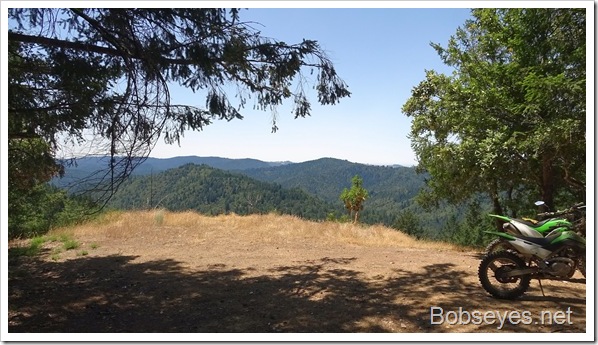 Forest Bike Ride and I Get Some Grass Fed Beef To Help Solve My Itchy Problem