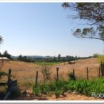 Grass Fed Beef, Cell Phone Problems and a Nice Visit view7_thumb.jpg