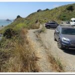 My Beef Bill and Critters At the River’s Mouth car1