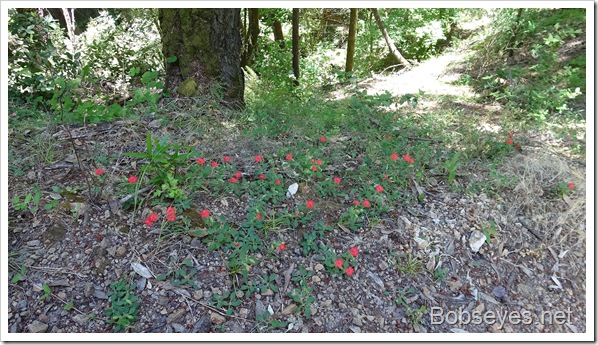Checked Out the New Water Hole and Just Took It Easy the Rest of the Day