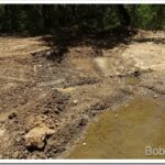 Making One Little Water Hole Into Two Little Water Holes hole6_thumb.jpg