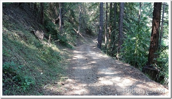 Working On Improving the Two Pools Area