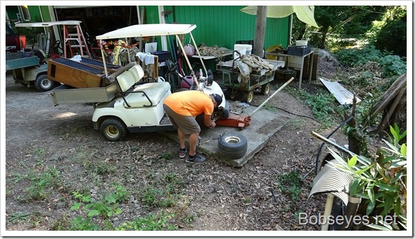Wood For Smoking, A Visit, and Those Darn Blackberry Vines