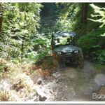 Finishing Up the Neighbor’s Road, Clearing Brush Off It rig1