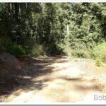 Finishing Up Some Work For a Neighbor road6_thumb.jpg