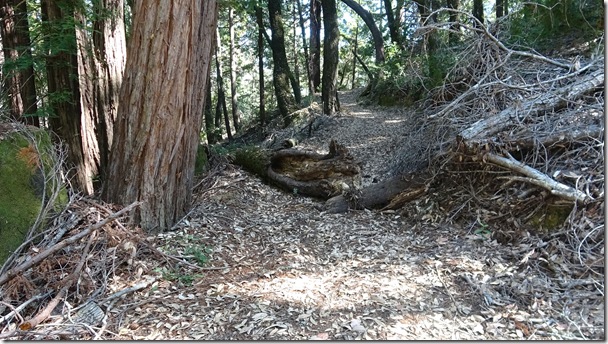 logs13
