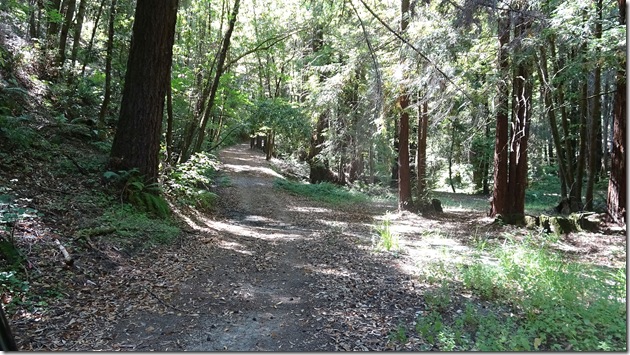 road9
