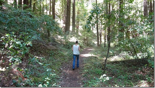 trail17