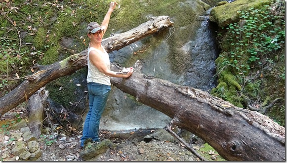 waterfall19